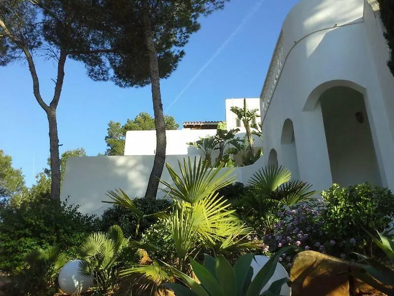 Dos Monos Villa San Antonio  Spain