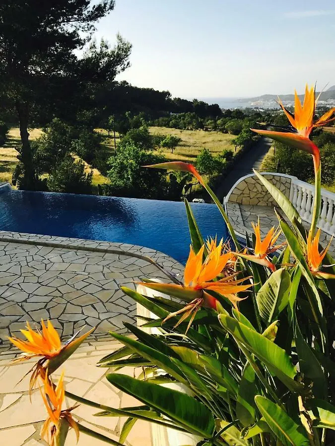 Dos Monos Villa San Antonio