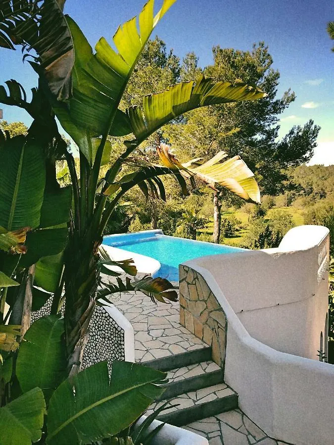 Dos Monos Villa San Antonio